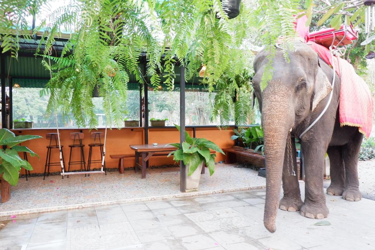 The Park Ayutthaya Resort And Spa 外观 照片